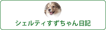 シェルティすずちゃん日記